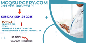 Plastic Surgery MOck test